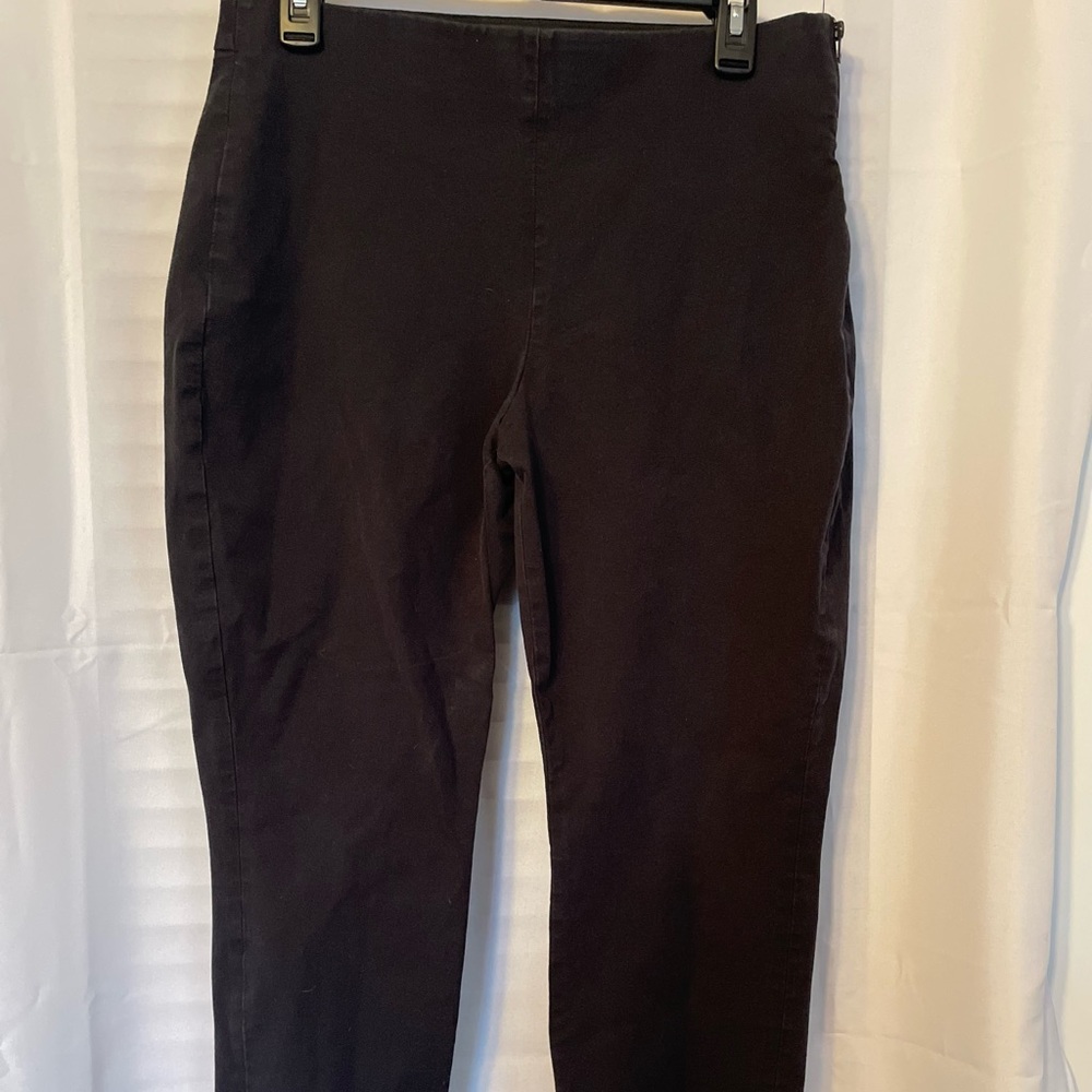 Skinny Side Zip Everlane Pants